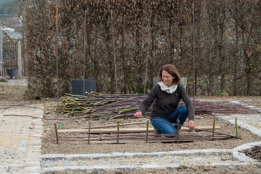 Creating a vegetable bed with a wicker wall for climbing plants