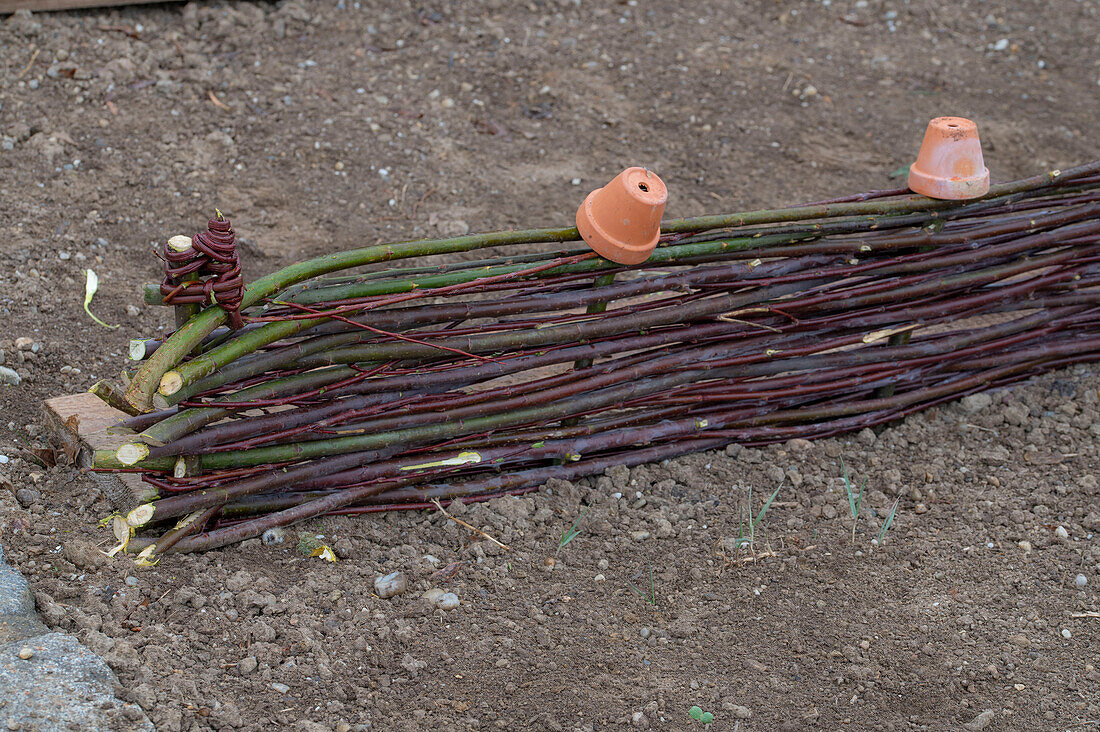 Anlage eines Gemüsebeets mit Flechtwand aus Weidenzweigen für Kletterpflanzen