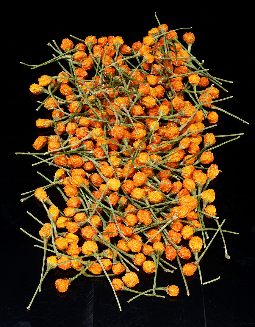 Charapita chilli (Inca pepper)