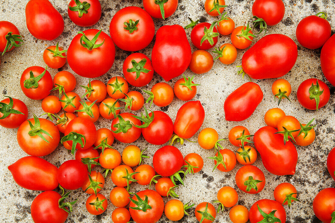 Selbst angebaute Tomaten