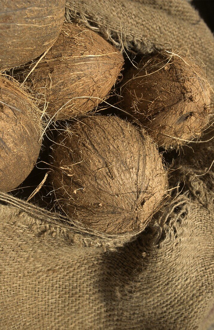 Kokosnüsse (aus der Karibik) im Jutesack