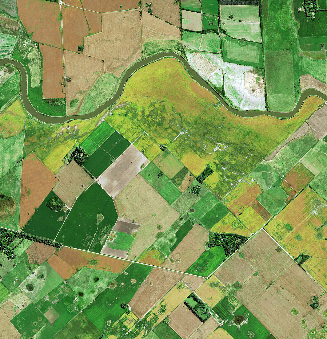 Land cleared for soybeans and cattle, Roque Perez, Argentina, satellite image