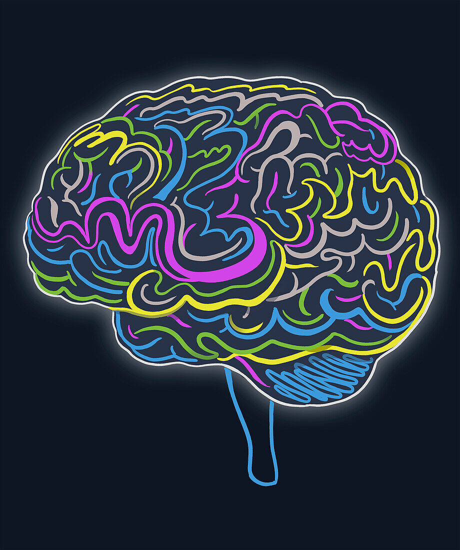 Brain colourful, conceptual illustration