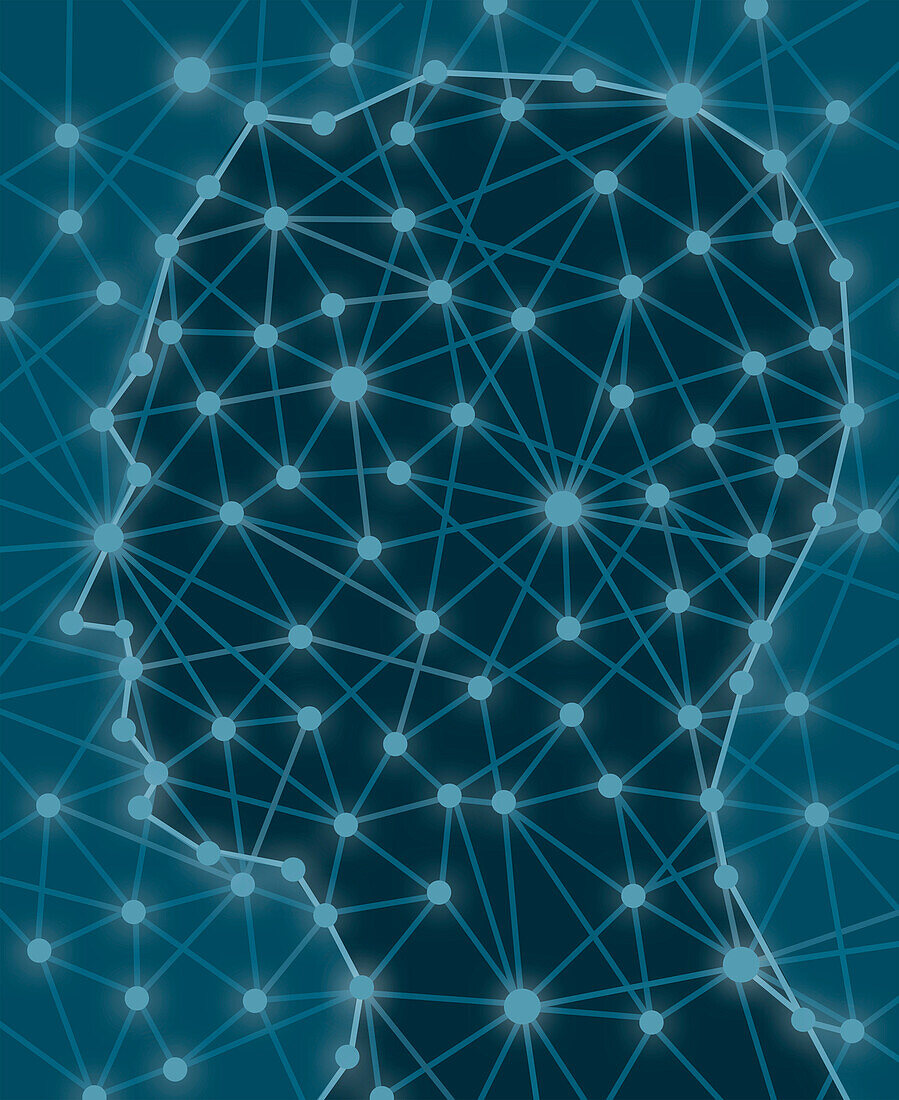 Network head, conceptual illustration