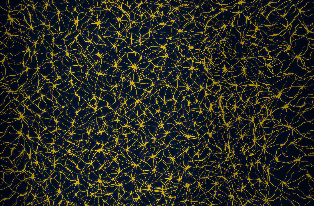Neurons, conceptual illustration