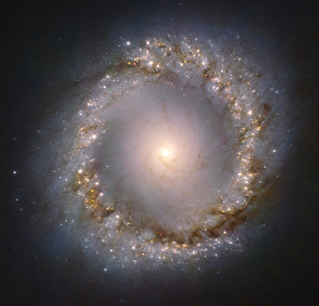 Inner ring of galaxy NGC 1097, ERIS image