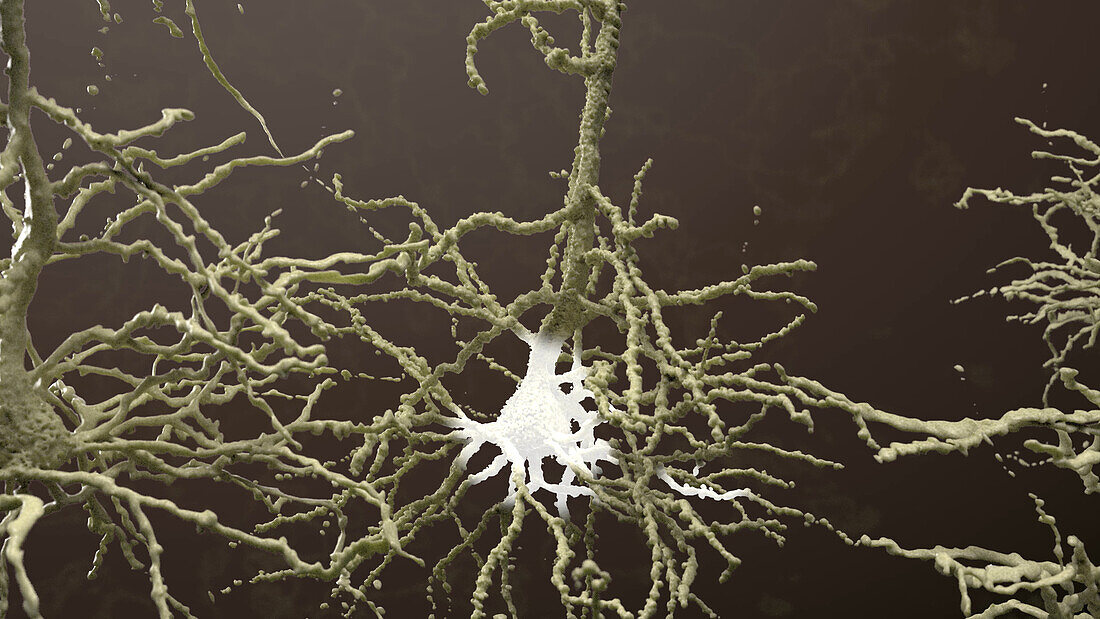 Nerve cell, illustration