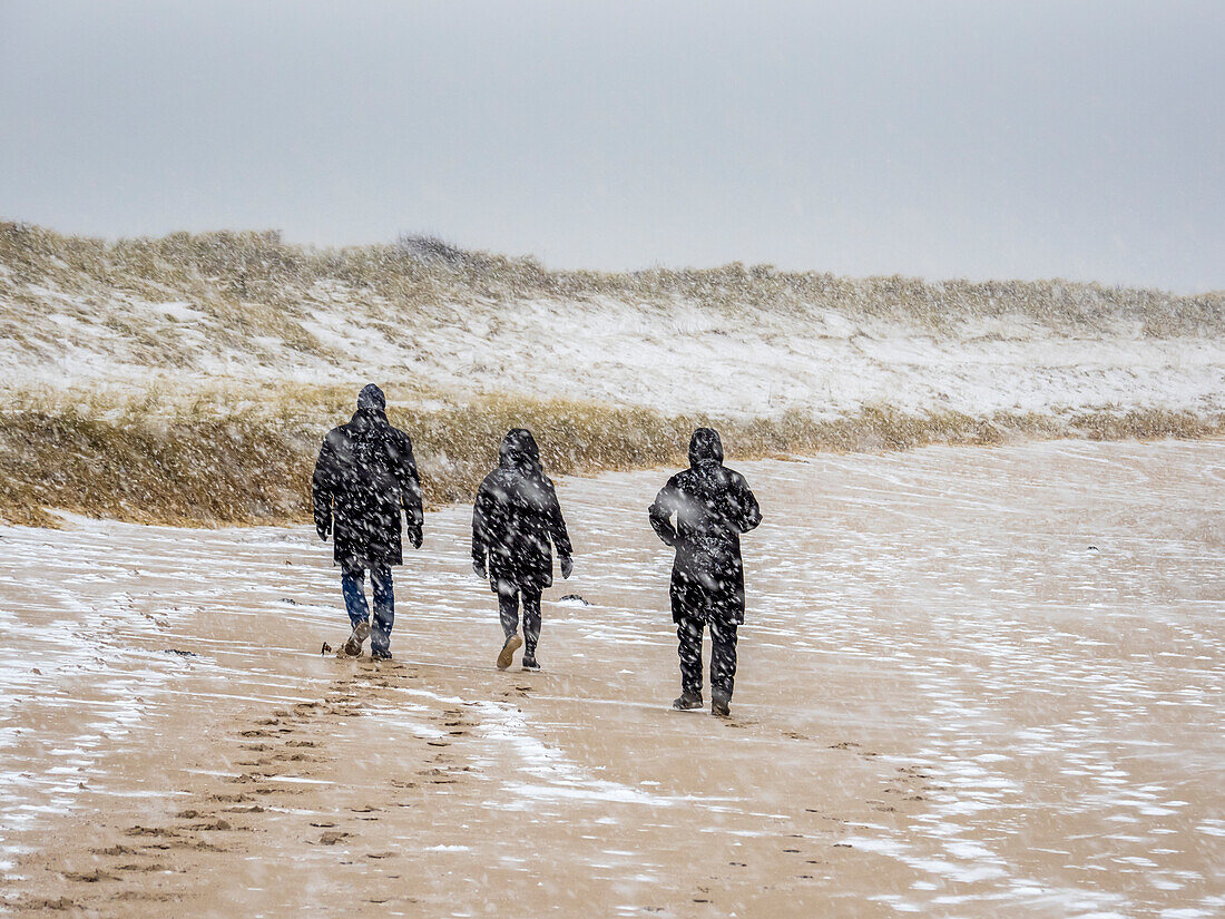 Walkers on beach in heavy snow