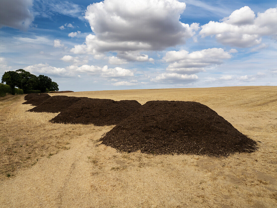 Piles of manure in arid field