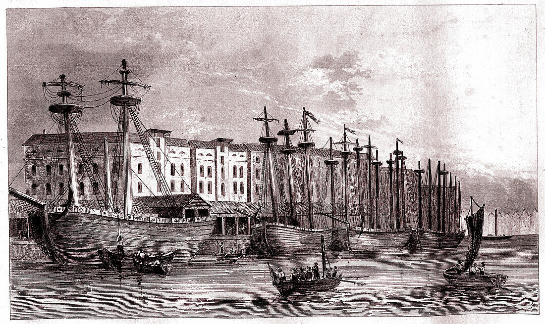 East India Dock Company, London, 19th century illustration
