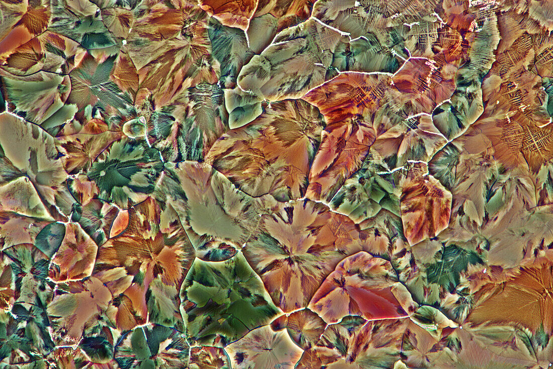 Erythritol, TRIS and hydroquinone crystals, light micrograph