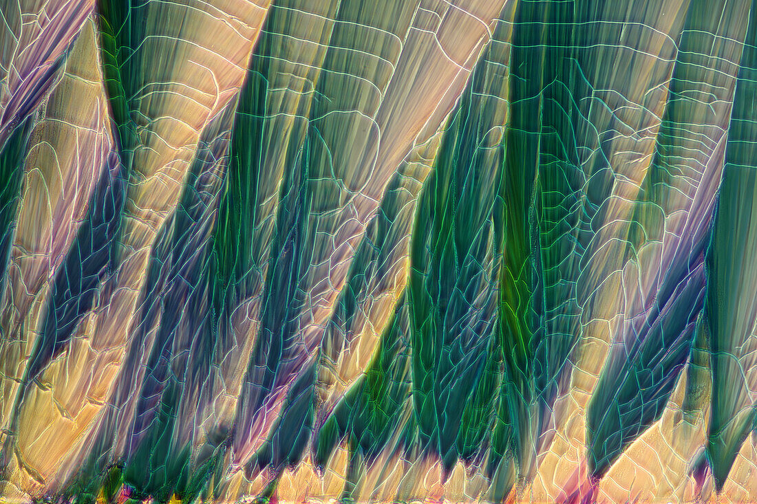 Erythritol and paracetamol crystals, light micrograph