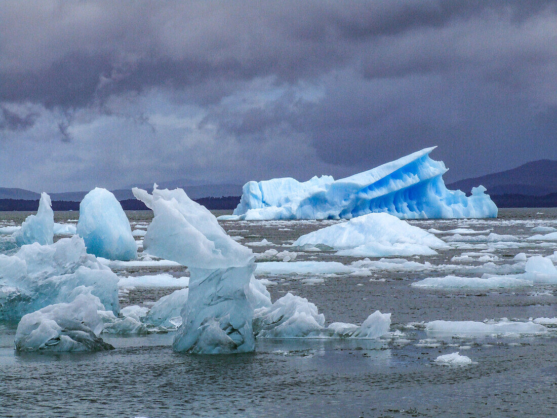 Icebergs from the San Rafael Glacier, Chile