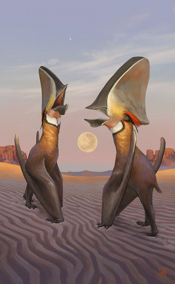Caiuajara pterosaurs singing, illustration