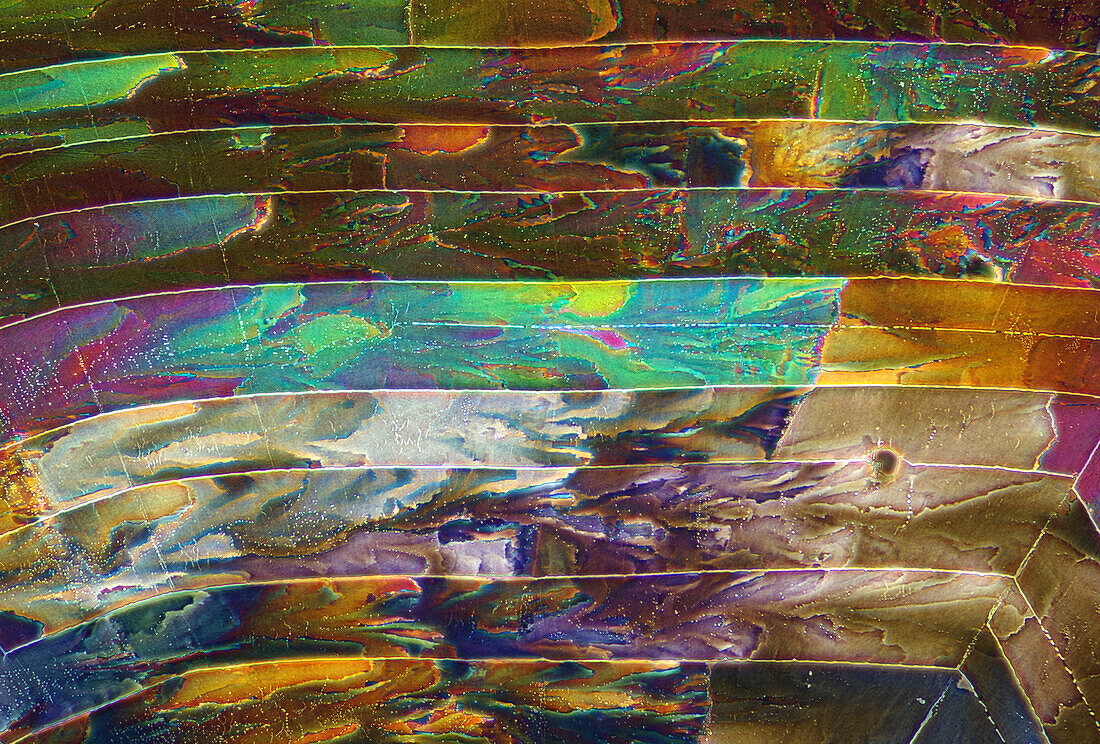 Sulphur crystals, light micrograph