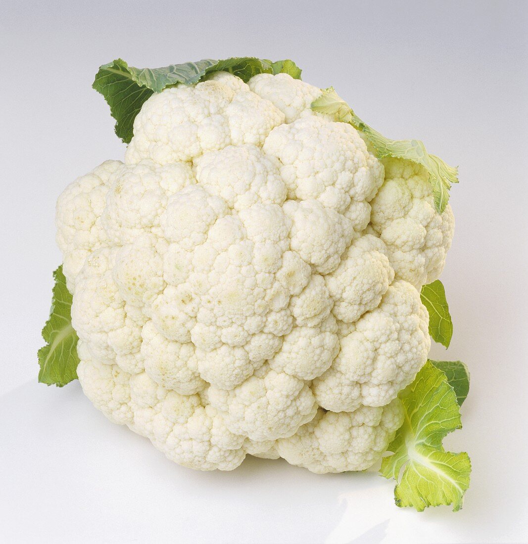 A Head of Cauliflower