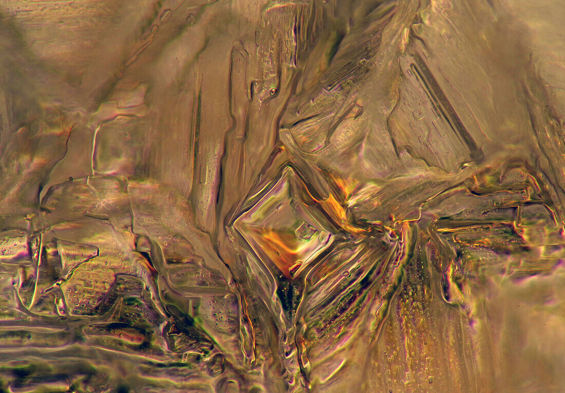 Kitchen salt and erythritol crystals, light micrograph