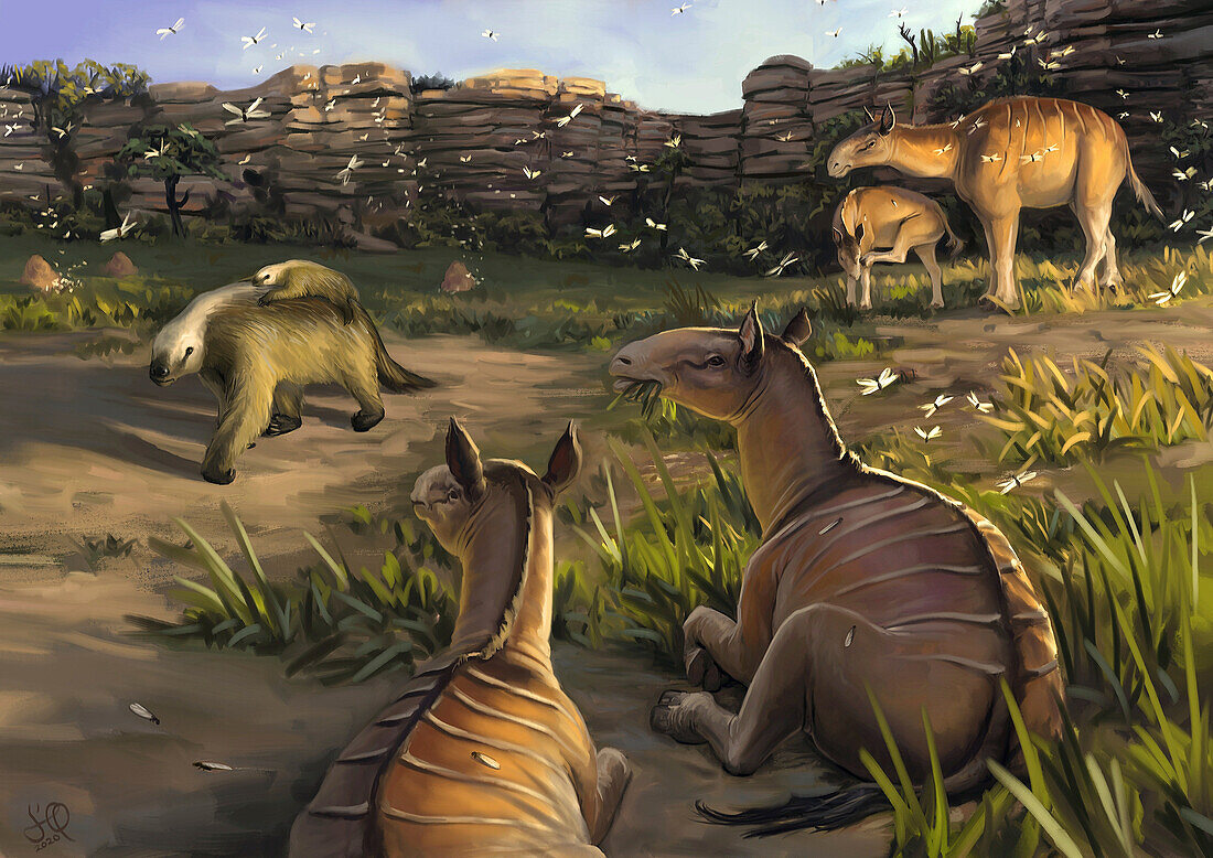 Herd of Xenorhinotherium ungulates watching ground sloth, illustration
