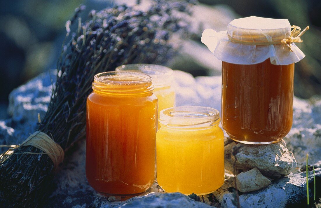 Honigsorten aus der Provence in Gläsern auf Felsstein