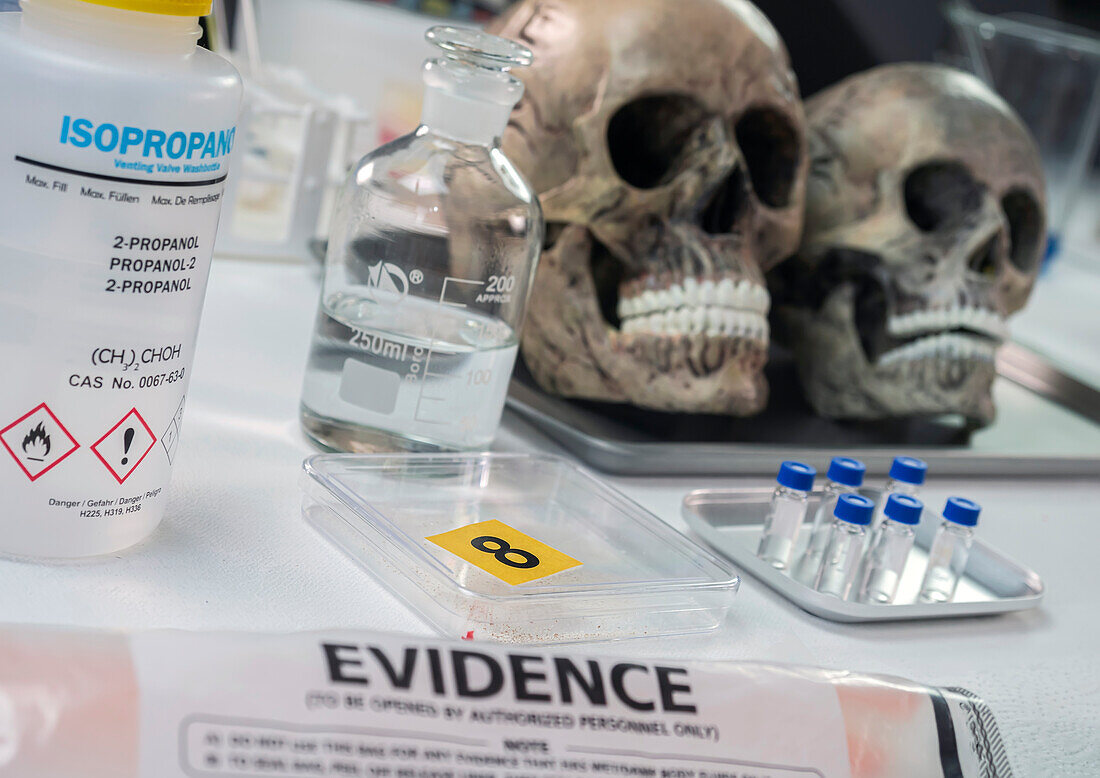 Forensic analysis of human remains