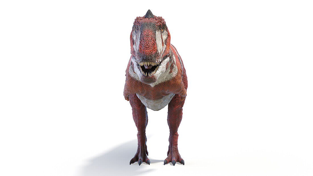 Majungasaurus dinosaur, illustration
