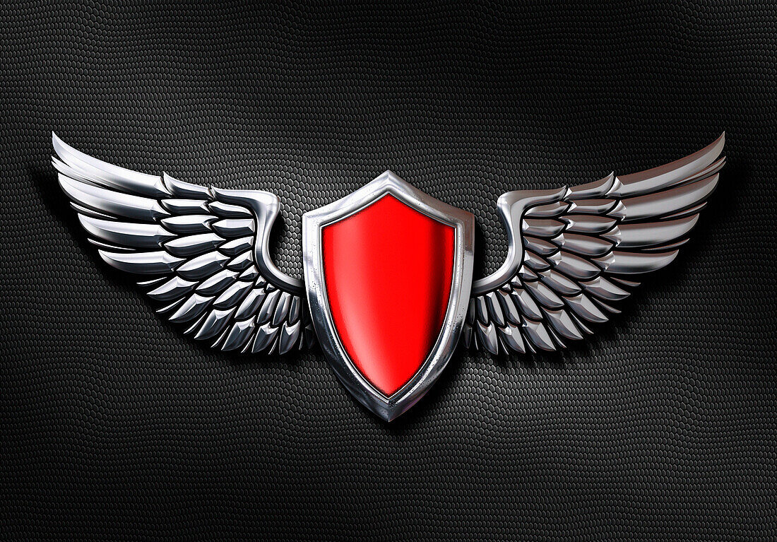 Metal wings badge, illustration