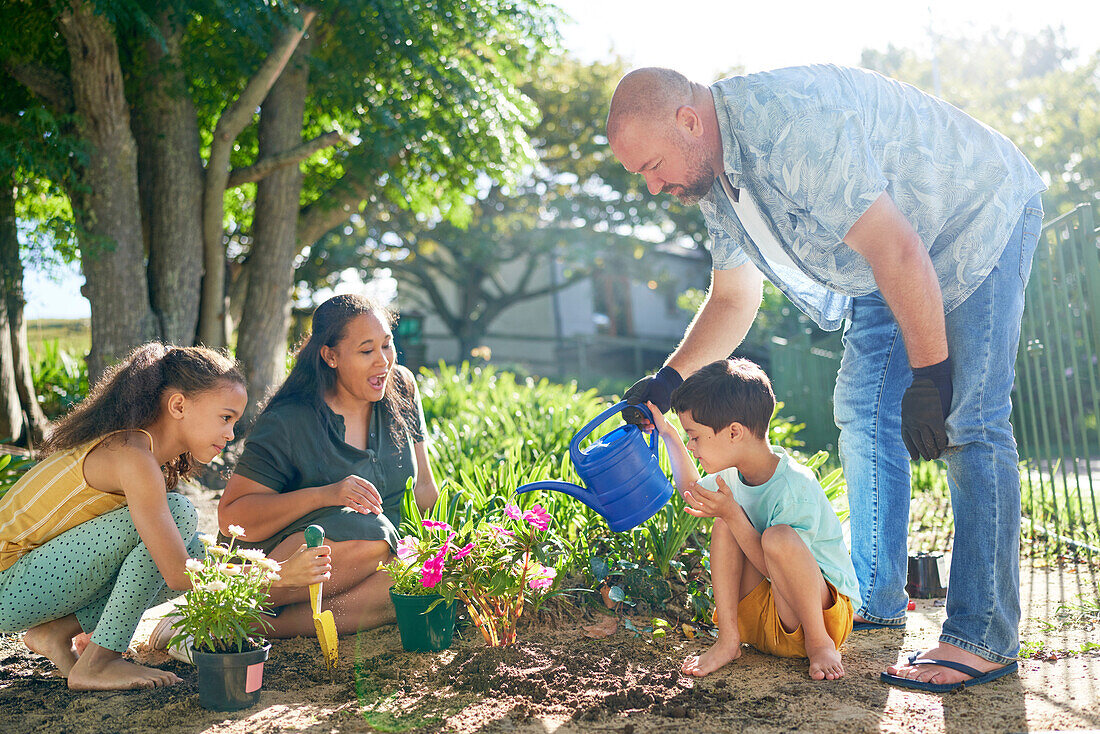 Family planting and watering flowers