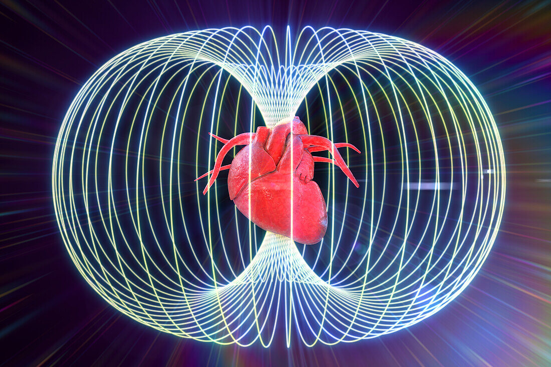 Heart in energy field, conceptual illustration