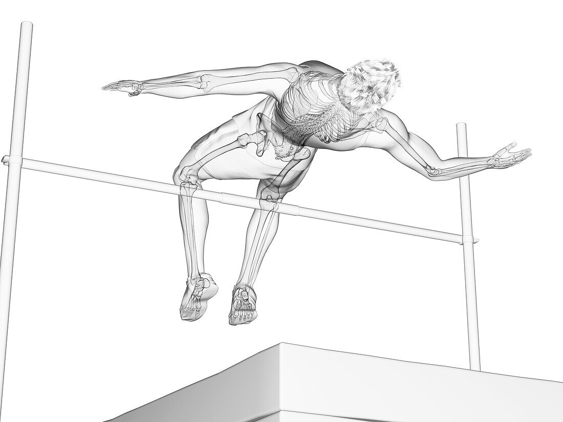 High jumper, illustration