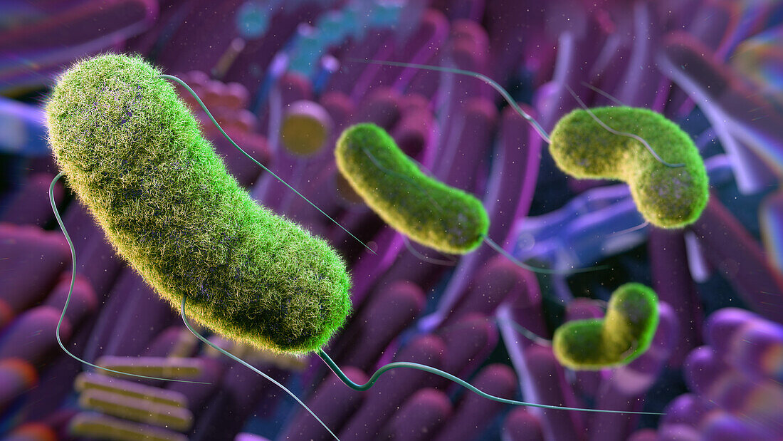 Gut microbiome, conceptual illustration