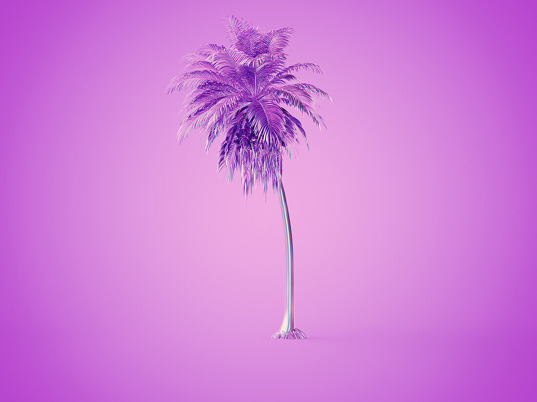 Palm trees, illustration