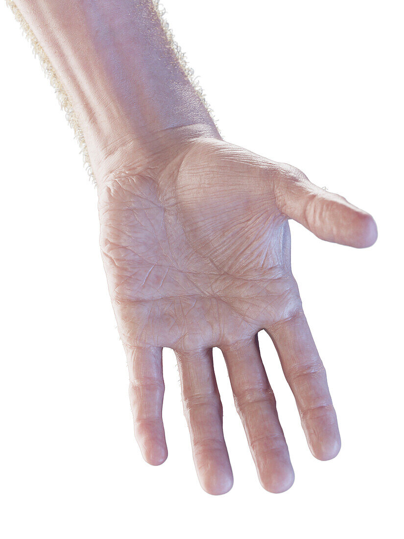 Male hand, illustration
