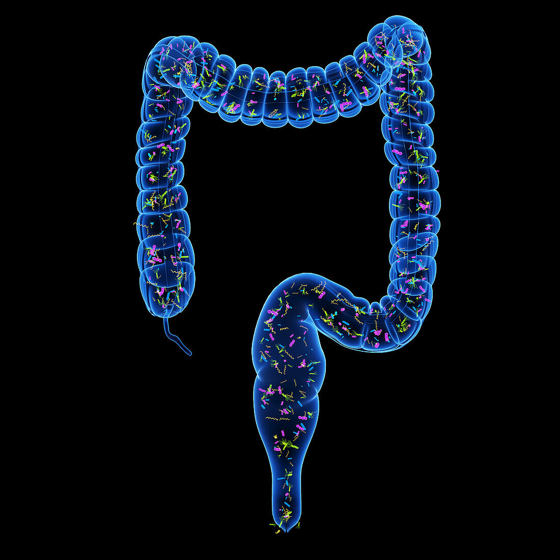 Microbiome, illustration