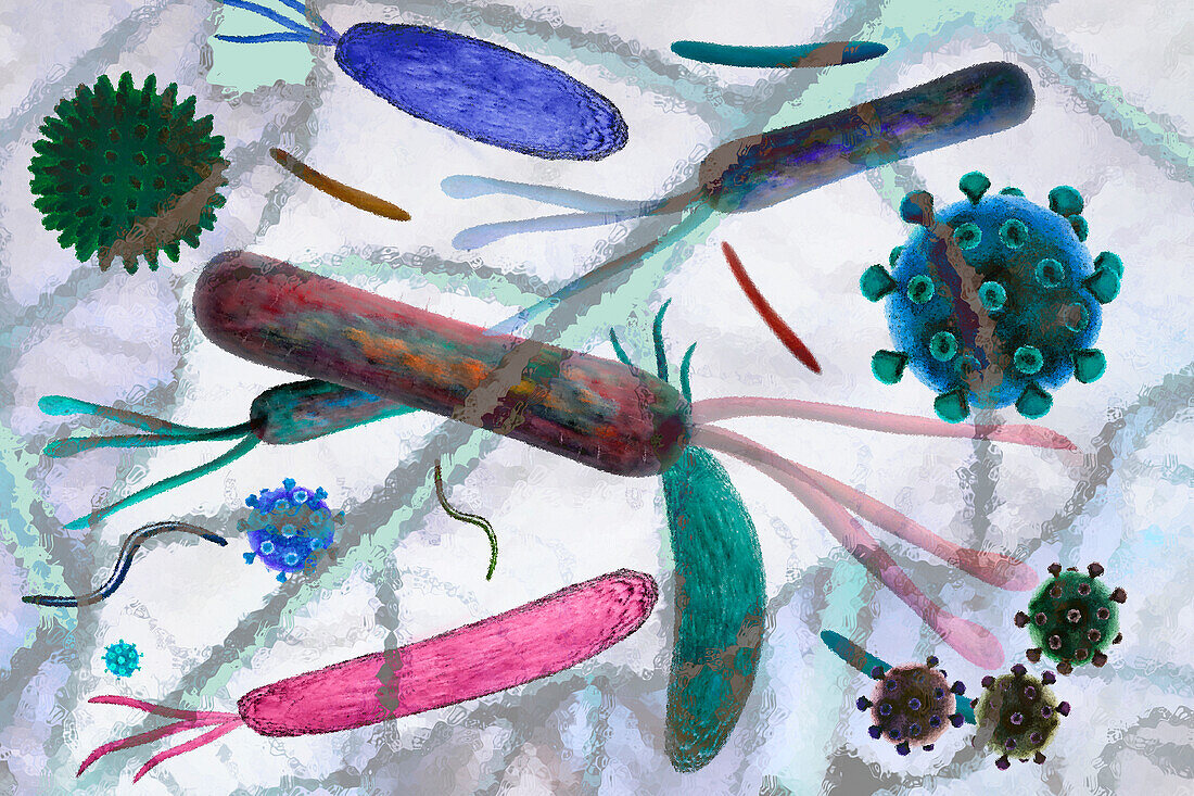 Bacteria and viruses, illustration