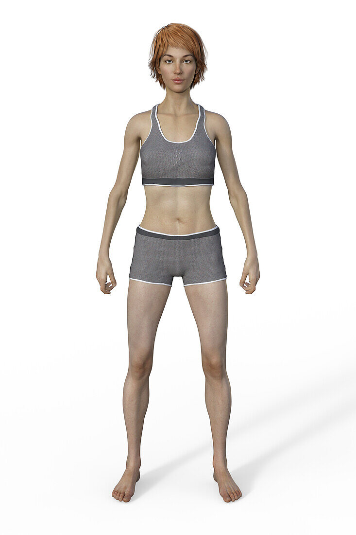 Female ectomorph body type, illustration