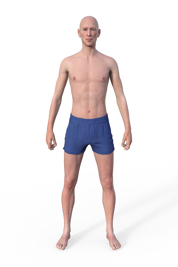 Male ectomorph body type, illustration