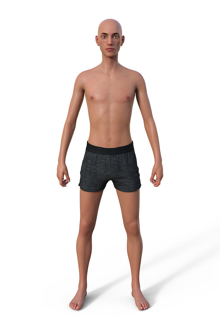 Male ectomorph body type, illustration