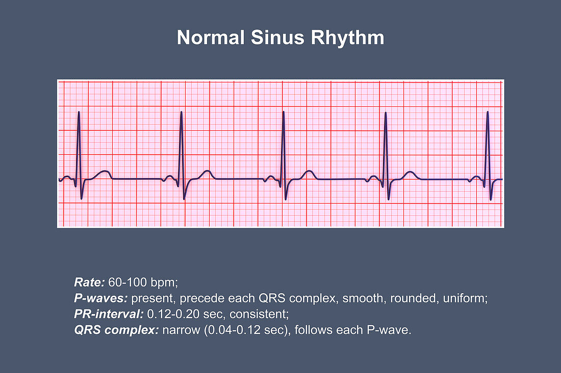 Healthy heartbeat rhythm, illustration