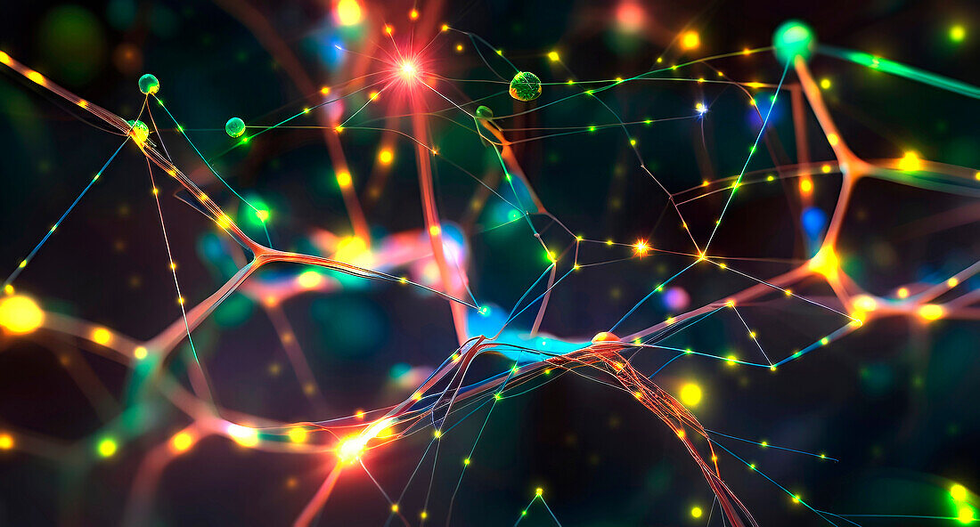 Neuronal network, conceptual illustration