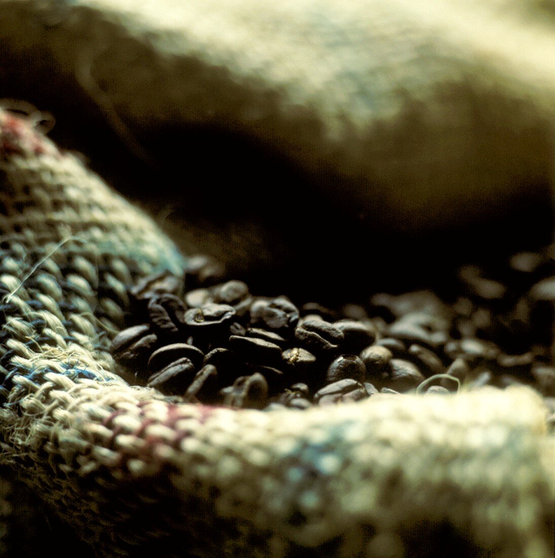 Coffee Beans Resting on a Sack