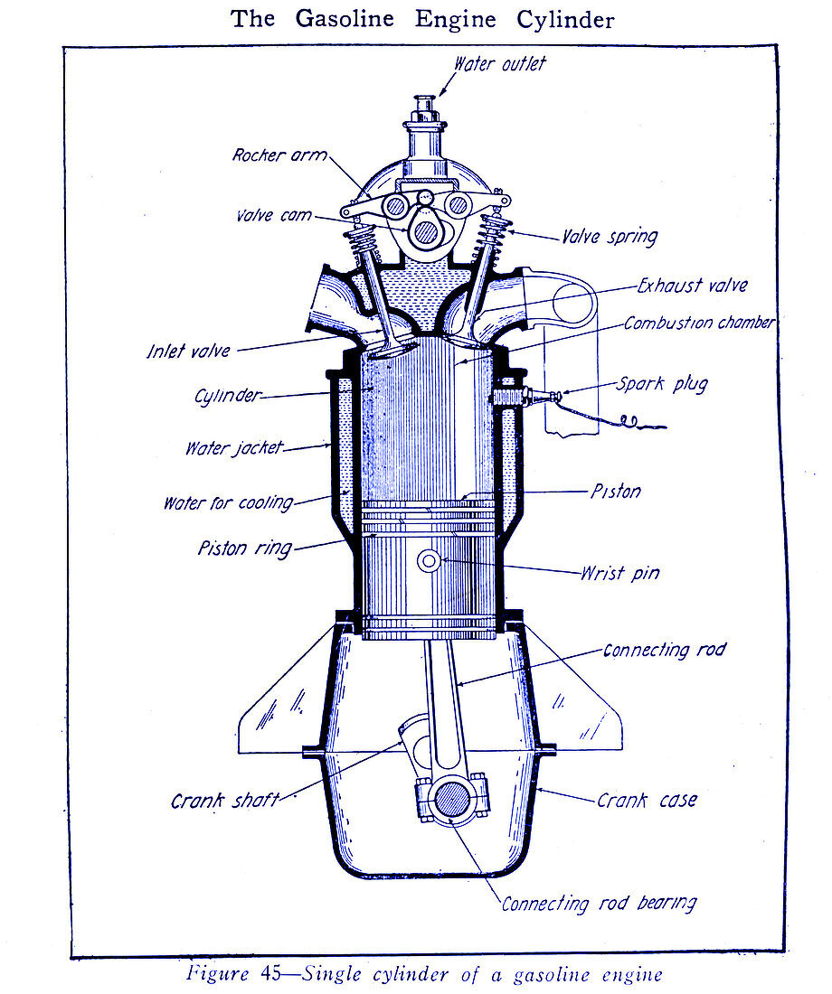 Single cylinder of a gasoline engine, illustration