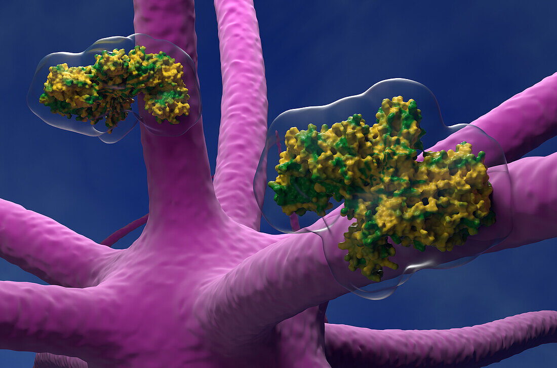 Botulinum toxin and nerve cell, illustration