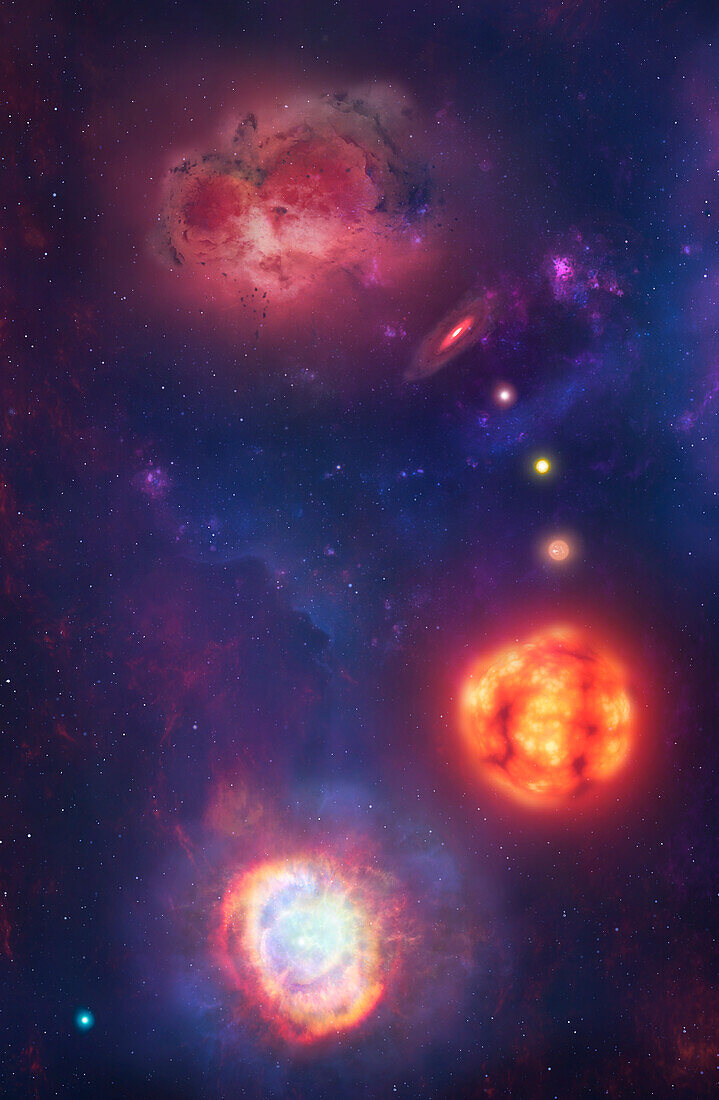 Stellar life cycle, illustration
