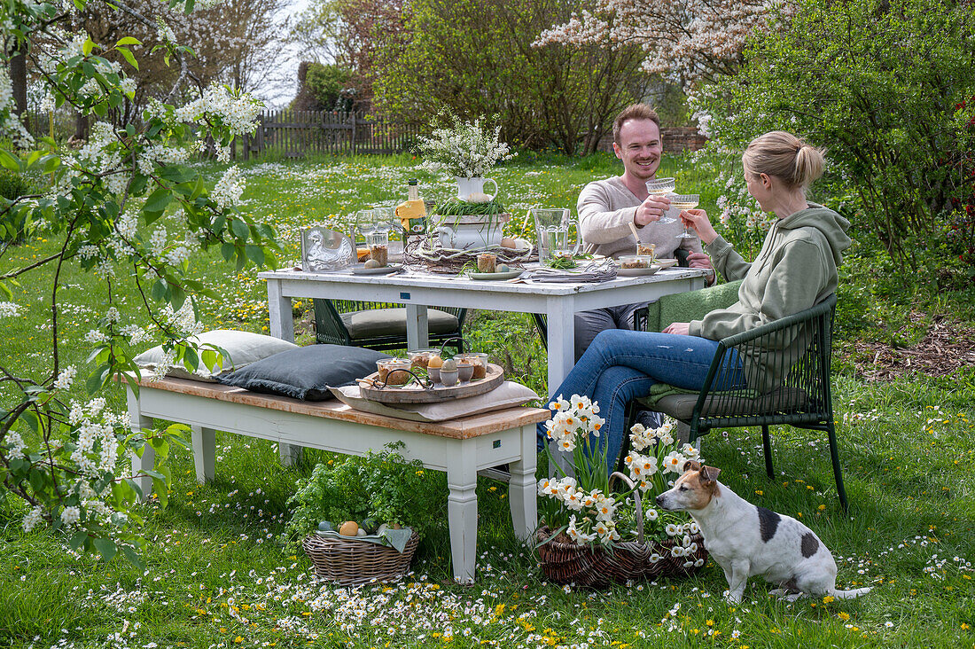 Young couple sitting at a laid table for Easter breakfast with Easter nest and colored eggs in egg cups, toasting with sparkling wine, daffodils and parsley in basket, with dog in garden
