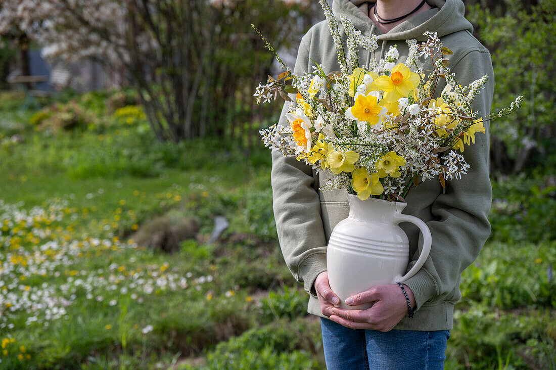Woman carrying a bouquet of flowers from the rock pear (Amelanchier), Daffodils, bridal spirea and spring snowflakes in a jug