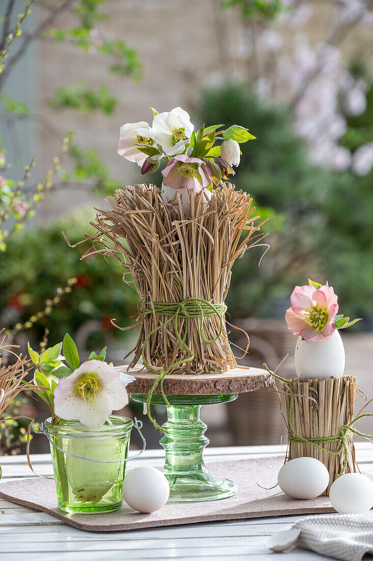 Lenzrosenblüten (Helleborus Orientalis) in Vasen und zwischen Feinhalm Chinaschilf 'Gracillimus', Ostereier als Tischdeko