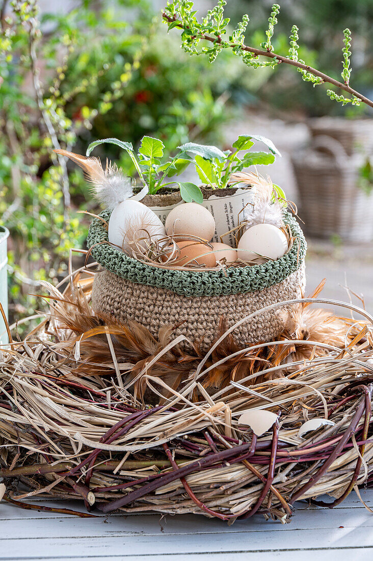 Hühnereier in Netztasche mit Eierschalen und Rettichpflanze (Raphanus), in großem Nest aus Zweigen