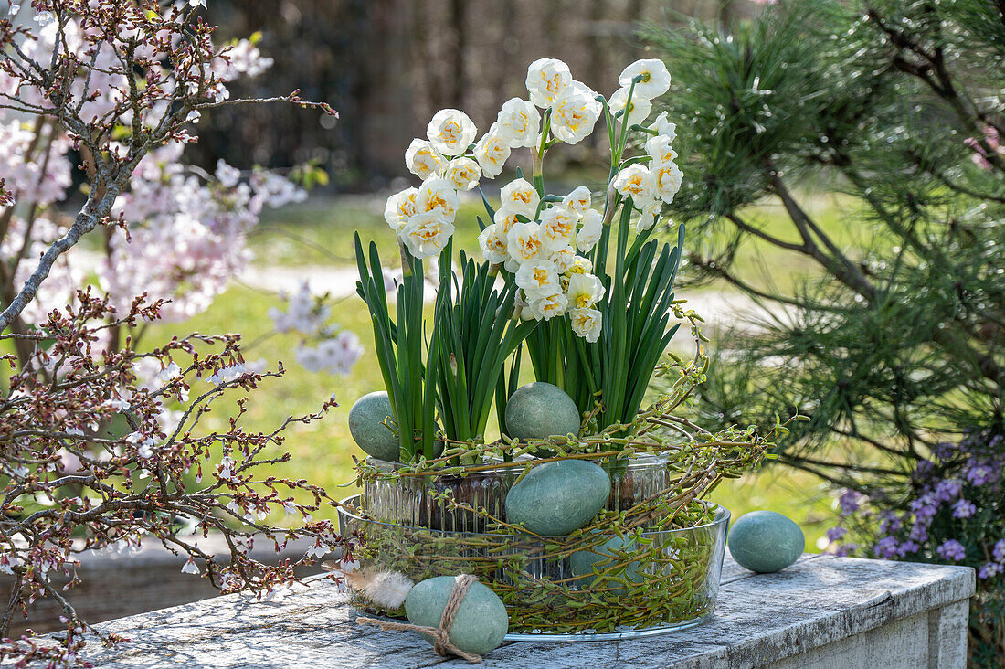 Strauß-Narzisse, Tazetten 'Bridal Crown' (Narcissus) in Blumentopf aus Glas auf Gartentisch mit Ostereiern