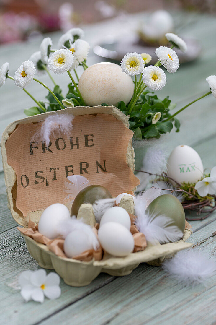 Gefärbte Ostereier in Eierpackung mit Federn und Veilchenblüten, Gänseblümchen (Bellis) im Topf, Ostergruß