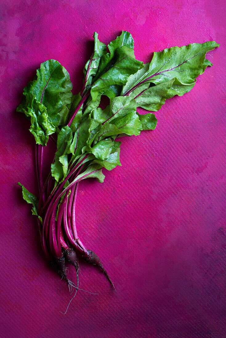 Frische Rote Bete auf pinkfarbenem Untergrund